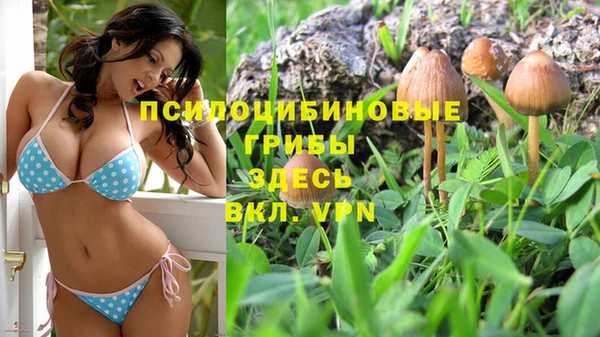 MESCALINE Гусев